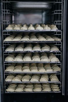 Many dumplings close-up. Dumplings isolate.Fresh dumplings on the board.