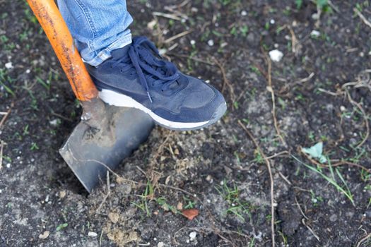 Top view photo of a shoe pressing a hoe to plough the land