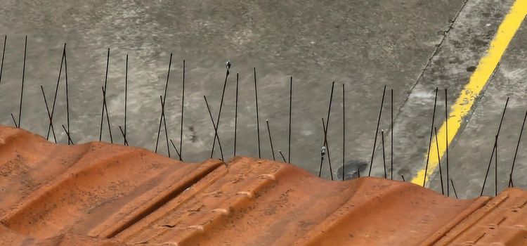 Close-up of anti-bird steel poles on the tiled roof of a building to prevent birds from building the nest.