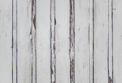 Texture, background for further work. Wall of vertically stacked planks white cracked color