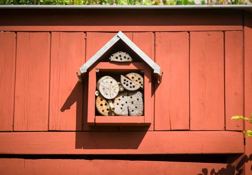 Insect house on the wood red wall