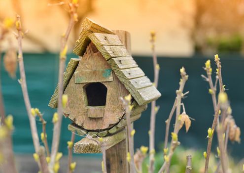 Bird house and the first spring gentle leaves, buds and branches.
