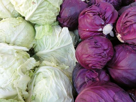 Close-up of Rows of Red and Green Cabbage split in half.
