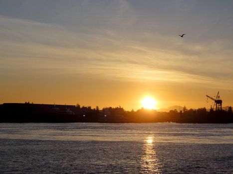 Sunset over Oakland Inner Harbor and Alameda with Bird flying in air and crane along shore.  