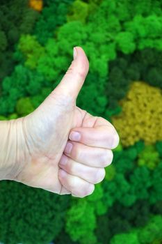 hand with thumb up showing super against wall background of green decorative stabilized moss.