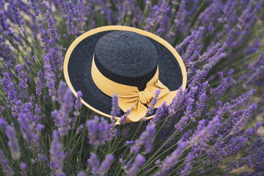 Black straw hat with yellow ribbon in a lavender field at Provence, France