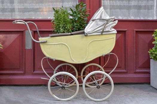 Old vintage baby stroller outdoors with plants inside.