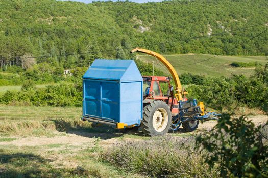 The tractor runs on a lavender field in Provence France