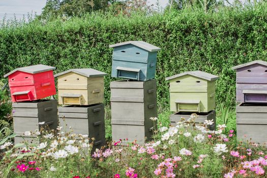 Row of wooden beehives for bees in the field