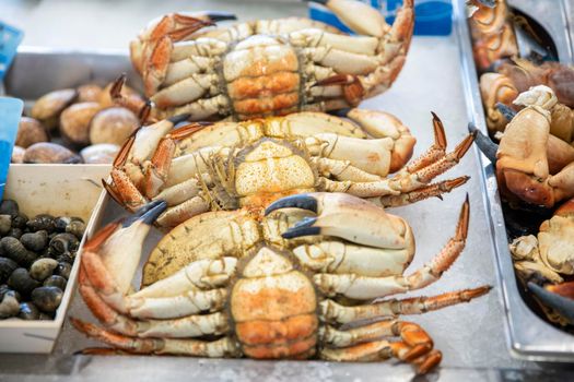Crab belly-up at the fish market