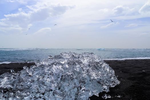 Diamond Beach in Iceland with blue icebergs melting on black sand and ice glistening with sunlight