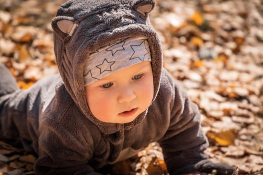 Portrait of baby boy in funny jumpsuit with ears on autumn leaves.