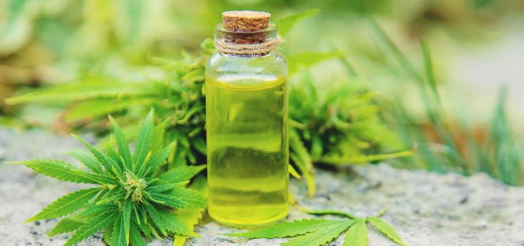 cannabis oil in a small jar. Selective focus.nature