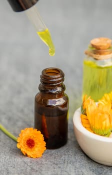 The calendula extract. Selective focusmedical