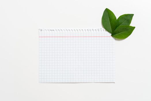 Notebook Paper With Leaves Decorated For Promoting The Brand.