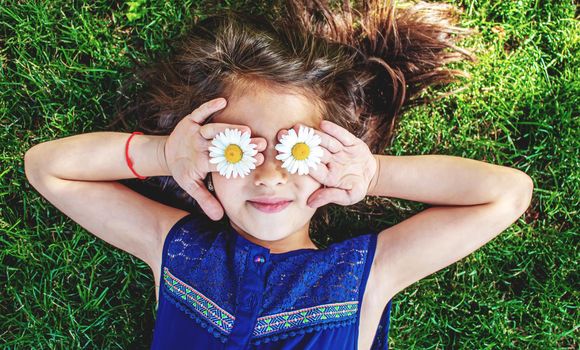 girl is holding chamomile flowers in her hands. Selective focus. nature.