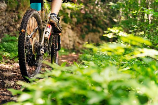 detail of the wheels of a mountain bike riding on a forest road, concept of sport and healthy lifestyle in nature, copy space for text