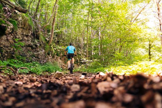 back view of an unrecognizable biker riding his mountain bike along a forest path, concept of sport and healthy lifestyle in nature