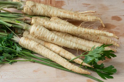 Parsley with roots on wooden cutting board