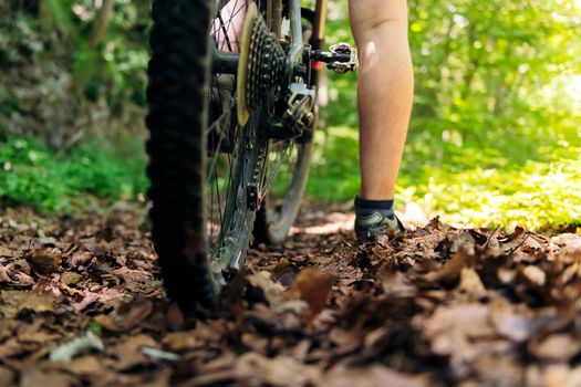 close up of a cyclist leg and the wheel of a mountain bike on a leafy forest road, concept of sport and healthy lifestyle in nature, copy space for text