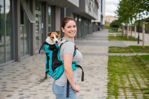 Caucasian woman walking outdoors with dog jack russell terrier in a special backpack