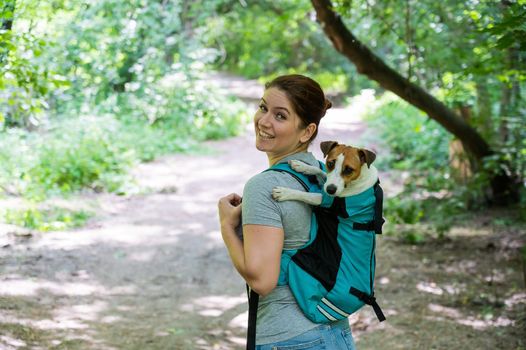 Caucasian woman walking outdoors with dog jack russell terrier in a special backpack