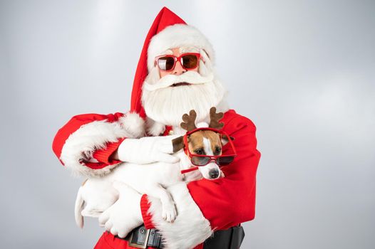 Santa claus and santa's helper in sunglasses on a white background. Jack russell terrier dog in a deer costume