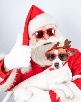 Santa claus and santa's helper in sunglasses on a white background. Jack russell terrier dog in a deer costume