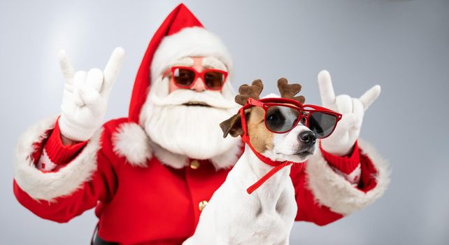 Santa claus and santa's helper in sunglasses on a white background. Jack russell terrier dog in a deer costume.