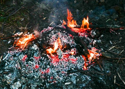 Burning Coals close-up. Glowing embers of coal Burning fire with coals and ash.