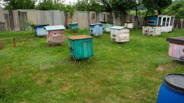 Old beehives with damaged paint in the yard of the village. Hives of bees in the apiary. Painted wooden beehives with active honey bees.