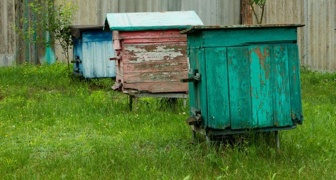 Old bee hives with cracked paint against the background of green grass in summer.