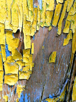 Abstration of the flag of Ukraine on a wall with a crack. A crisis. Dirty old yellow and blue wood background. Texture of wood use as natural background. Flag of Ukraine. High quality photo