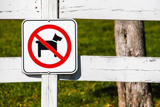 Dogs are not allowed on farm white wooden fence. A round red sign prohibiting dog walking on green grass. Walking with animals is prohibited