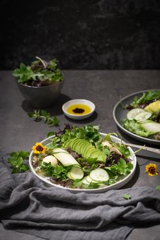 Fresh summer salad with cucumber, melon, avocado and fresh oregano served on ceramic plates.