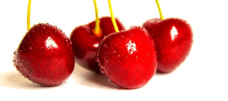 Cherries isolate on a white background.Selective focus. Nature