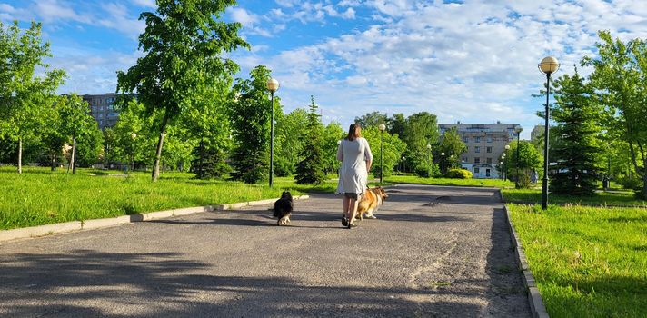 A woman walking with her dog on a leash, on the street, in the park on an asphalt path