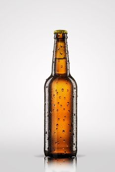 Cold bottle of beer with drops isolated on gray background.