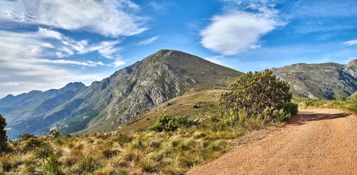 A hiking trail on a mountain with a cloudy blue sky on a summer day. A footpath surrounded by lush plants and grass outdoors on a spring afternoon. A pathway in nature or mountainside with copy space.