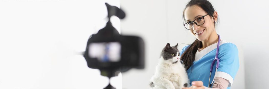 Portrait of female doctor present cute kitty on camera, petting him for video. Prepare for animal exhibition, live show, social media. Veterinary concept