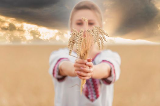 girl with wheat in her hands against the background of a field and a sunset sky