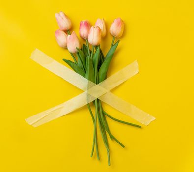 Pink tulips flowers sticked up crosswise with masking tape isolated on yellow background with copy space. Concept of necessity to care and save nature, global enviroment damages made by people