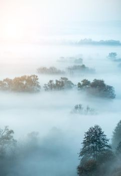 Atmospheric landscape covered with autumn mist