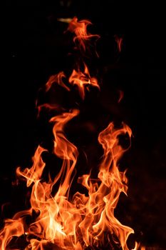 Orange high fire flame isolated on black background. Fiery tongues of bonfire