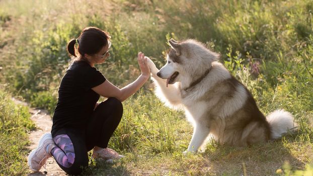 Beautiful girl wearing sport style with husky dog outdoors. Cute furry doggy high five with his paw to owner. Friendship between pet and human