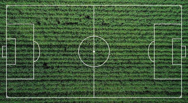 Football field with lawn. Soccer field illustration. Green grass realistic background top view. Textured green court with white stripes for creating games.