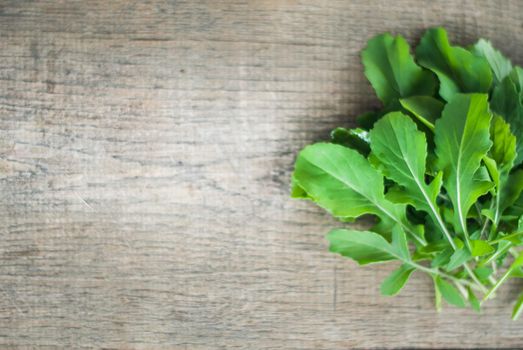 fresh bunch of rucola with space for text