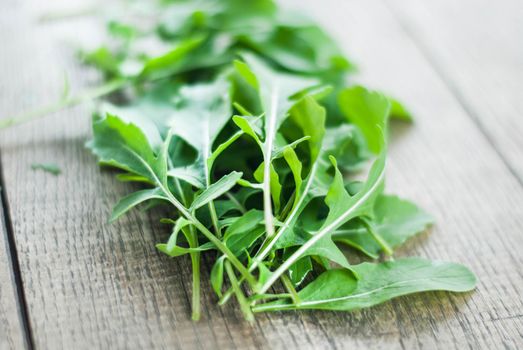 fresh home picked rucola on wooden background