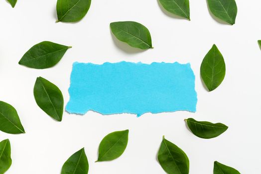 Blank Paper Surrounded With Leaves For Wedding Invitation And Cards.