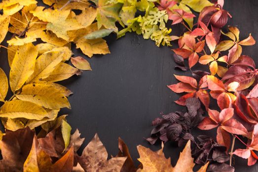 colorful leaves on black wooden background with space for text